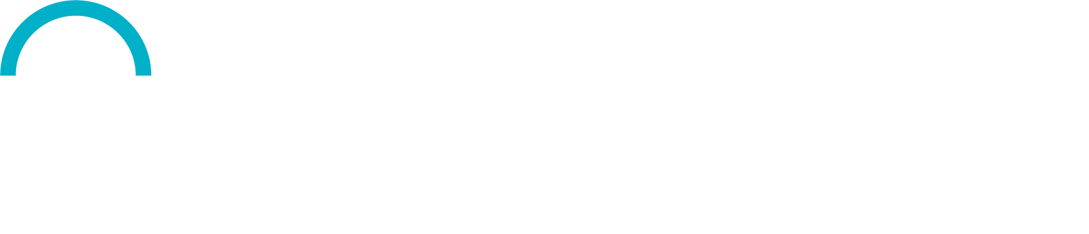 Parklink Logo White